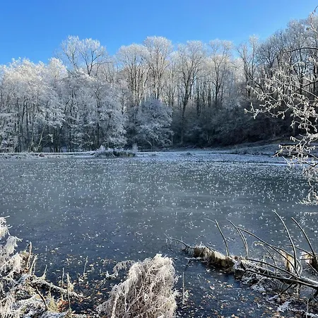 Tatil Evi 10 Etangs, Nature Et Architecture, 6-8p Florennes