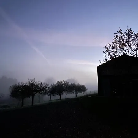 10 Etangs, Nature Et Architecture, 6-8p * Florennes