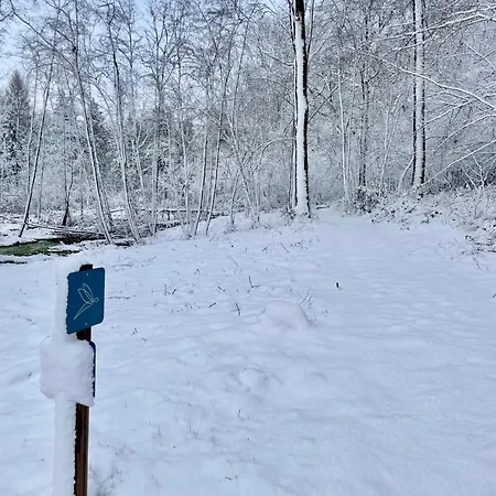 10 Etangs, Nature Et Architecture, 6-8p Florennes